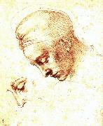 Michelangelo Buonarroti Study of a Head painting